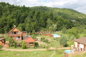Svit Sontsya
